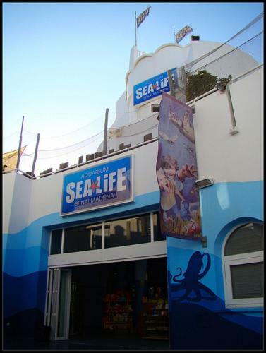 Apartamento Costa Sol